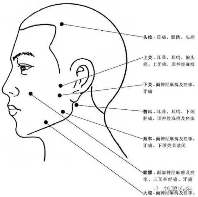 非常完整的人體穴位圖與功效圖文對照總結