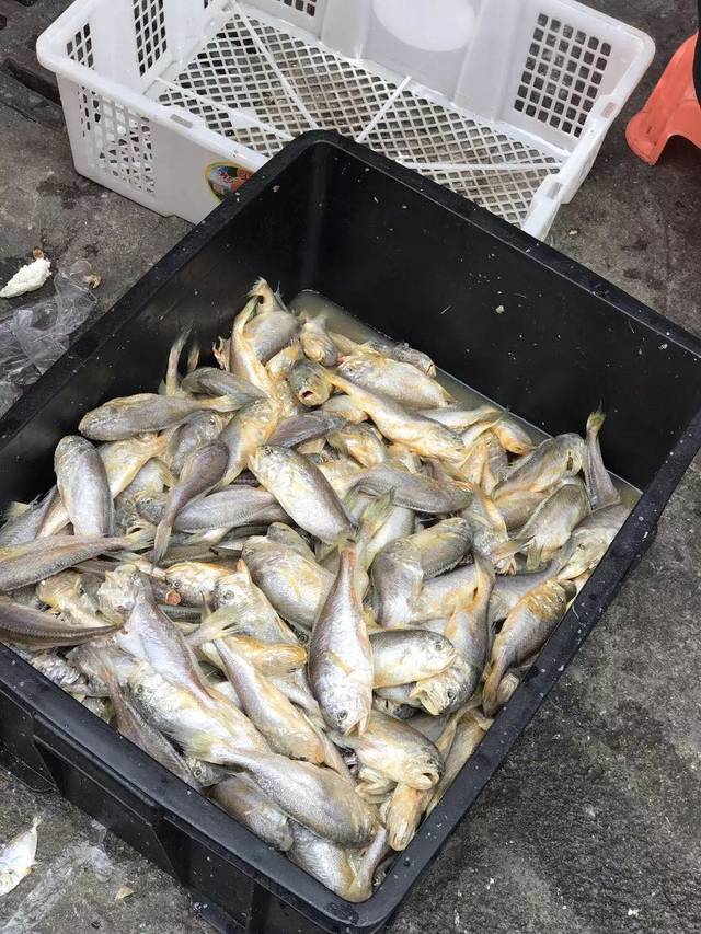 沙田"生晒"海鲜,满满是乡情!