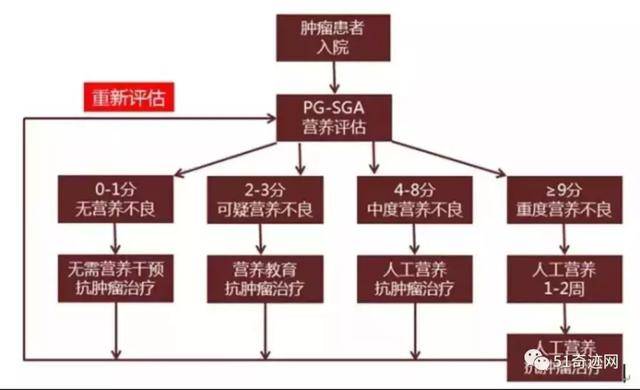 营养干预方案