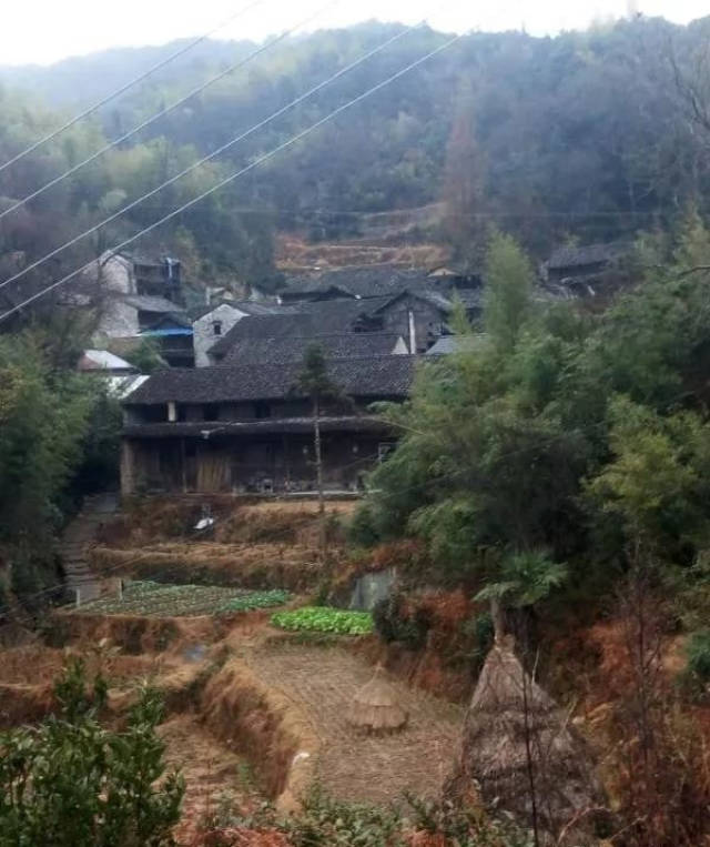 你知道台州这个地方有很多和狗有关的地名吗?