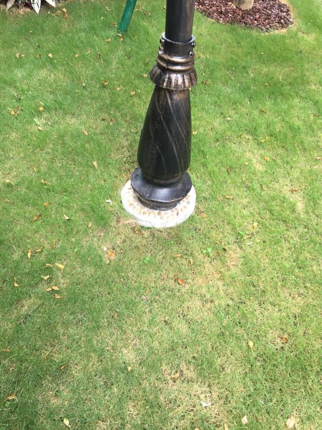 走出去学经验,学回来补短板丨2018年碧桂园物业湖北区域"走出去,学回