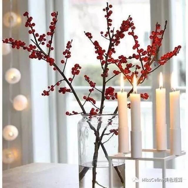 红红火火的欧美进口冬青,最衬中国人的春节