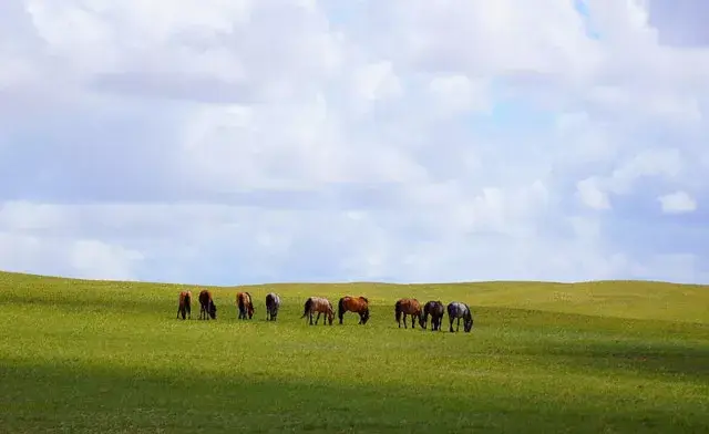 赠票 | 再见,前任!一波巴彦淖尔分手最佳地点送