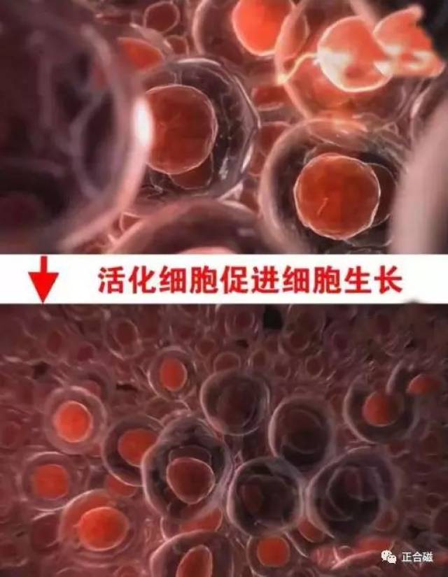 拒绝头痛医头脚痛医脚 正合磁寝具从根本上防治疾病