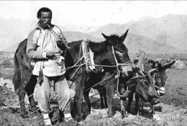 老照片见证中国农民篇