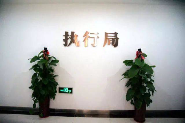 未成年人审判庭 page   执行局