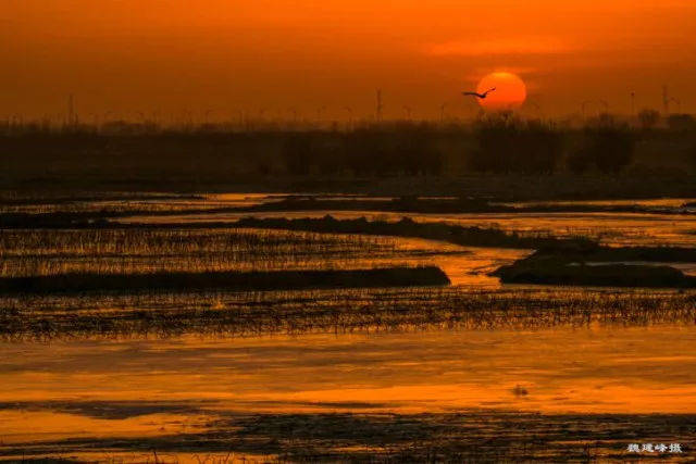赠票 | 再见,前任!一波巴彦淖尔分手最佳地点送