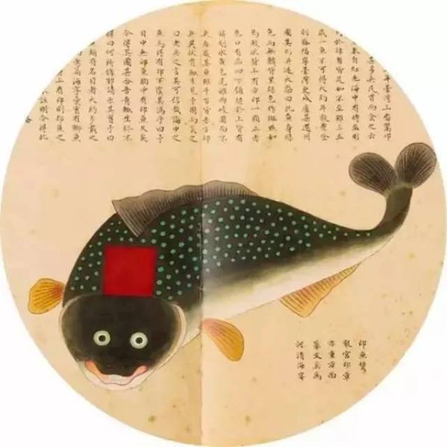 印鱼,印鱼吸盘,裂唇鱼_大山谷图库