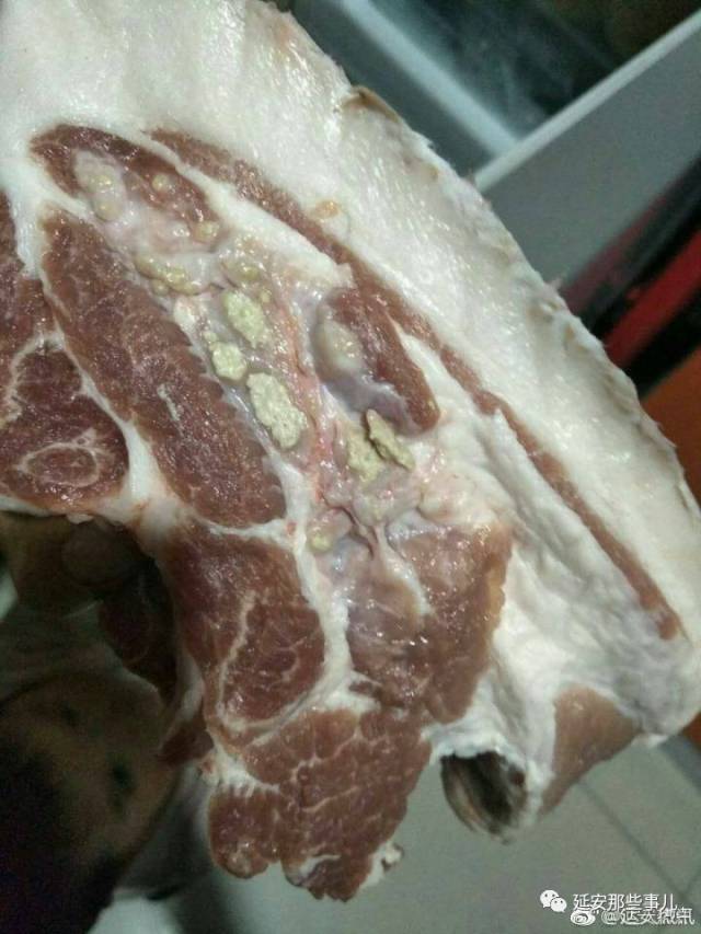 这块猪肉肥瘦之间有发黄疑似颗粒状物质,疑似米猪肉?