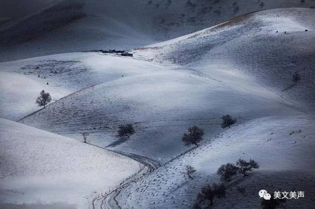 薇微诗话:艾青《雪落在中国的土地上》朗诵 倪祖铭