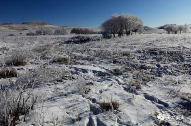 薇微诗话:艾青《雪落在中国的土地上》朗诵 倪祖铭