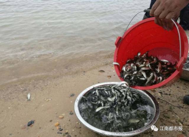 大手笔!江西农村2018年干这九件事将有钱领!村