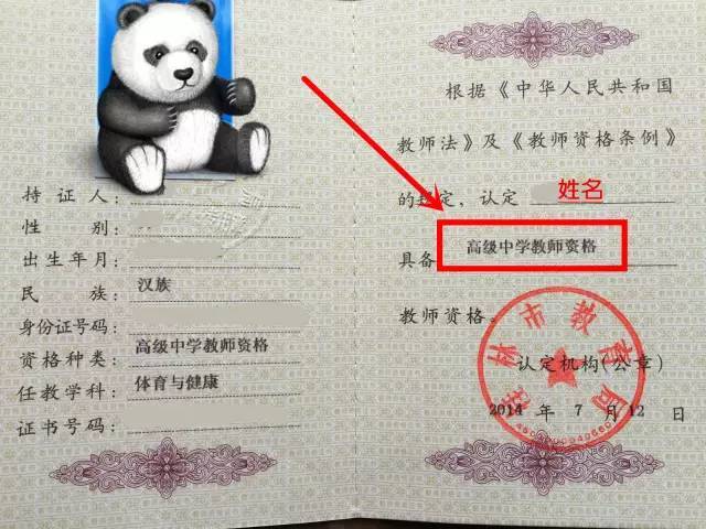 一张图告诉你:高中,初中,小学,幼儿园教师资格证的区别