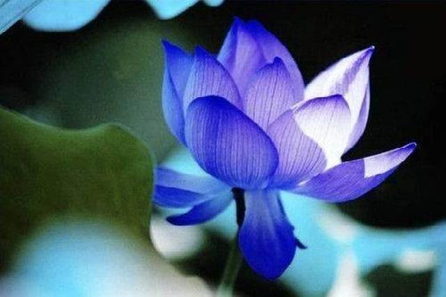 最精辟的十句人生感悟正能量的句子