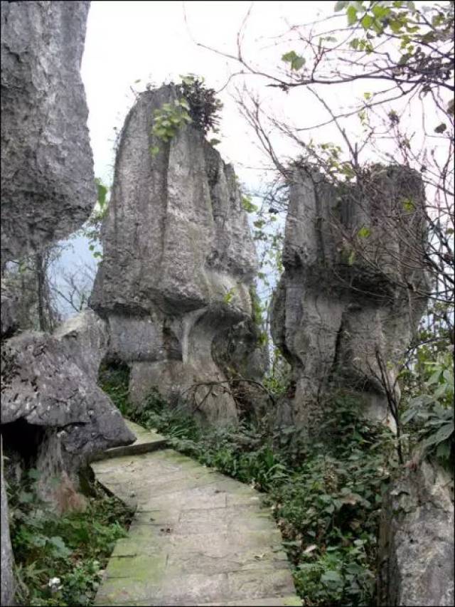我无法告诉你,冬天沙湾美女峰石林的景色到底有多震撼