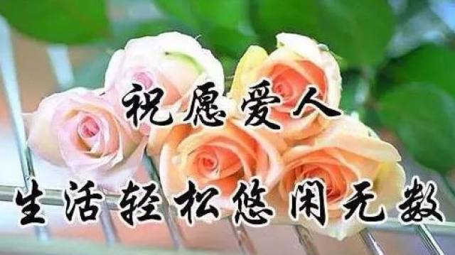 早上好!朋友节 送你111朵玫瑰花,愿你永远开心