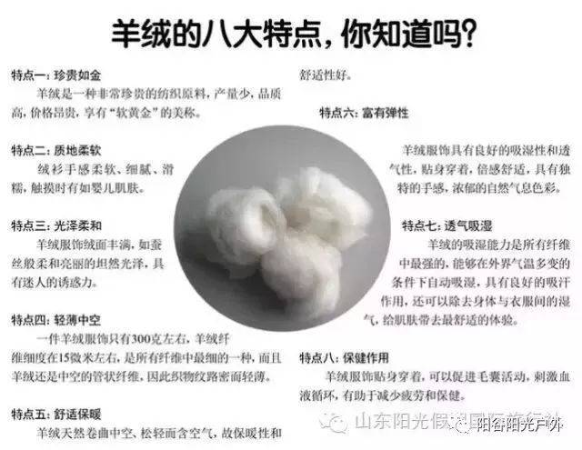 羊绒衫定制：品味与温度的艺术