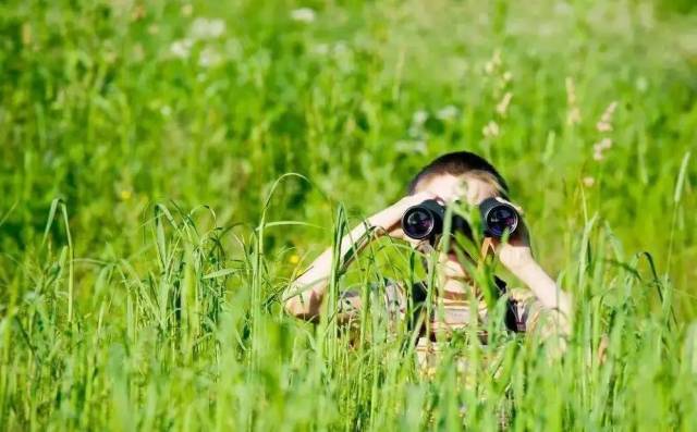 为什么要让孩子去探索大自然?