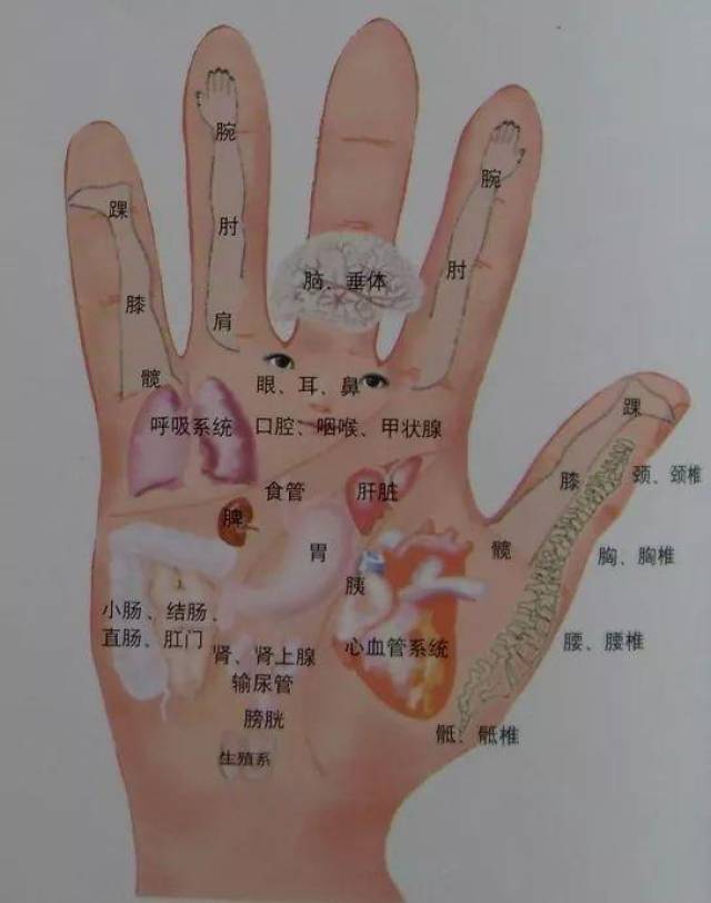 手指血位图图片
