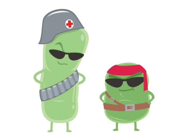 我们身体里的小卫士----解密肠道益生菌兄弟连