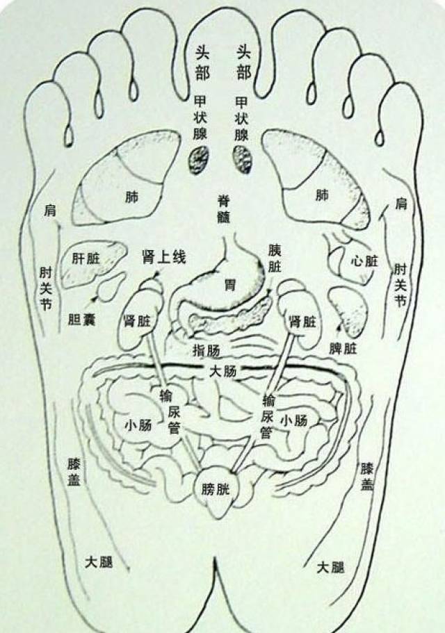 都是改善脾胃虚寒的办法,为什么足疗手法更好