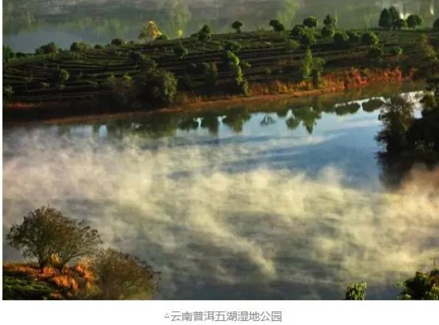普洱五湖国家湿地公园