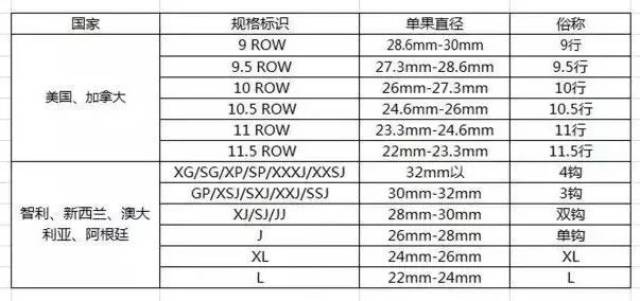 车厘子等级pd图片