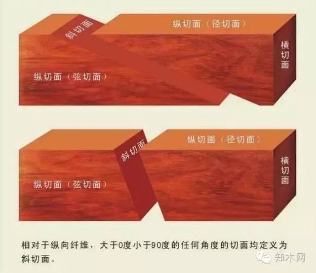 "斜切面"是植物学中弦切面,径切面,横切面,等标准名称之外的一个非标