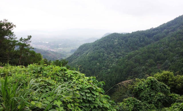 北山林場小園護林點,黃臘坑,西北山脊,九頭尖,北下山陰至馬澗鎮龍門村