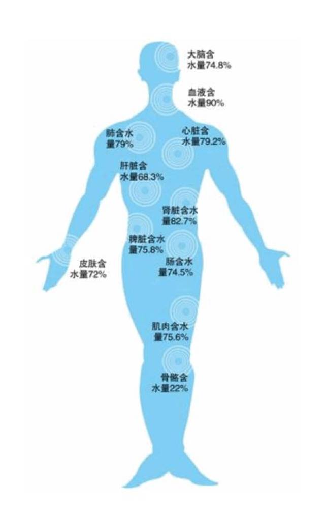 姿势丨水与人体的关系