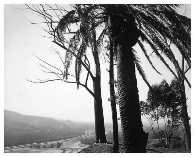 作为"新地形摄影"运动的领军人,他赋予建筑和风景以美感 | 人物