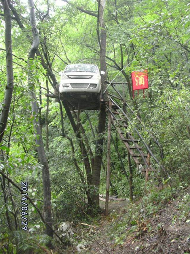 男子为圆"树屋"梦将车挂5米高树上 通电后可唱ktv