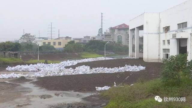 深圳清理化粪池：城市地下环境的‘清道夫’