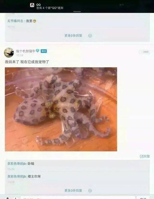 你是谁我是谁今夜谁是谁, 你愿意我愿意愿意就