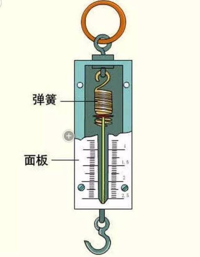 弹簧测力计分解图图片