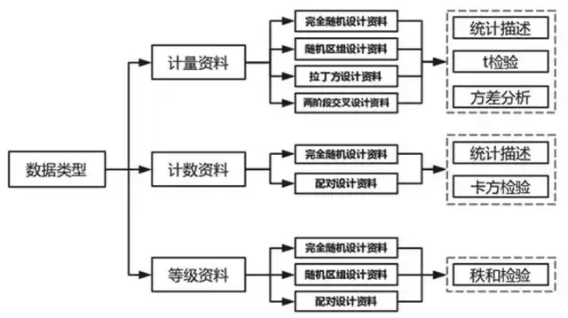 的医学数据基础统计方法大盘点之统计描述——【杏花开医学数据分析】