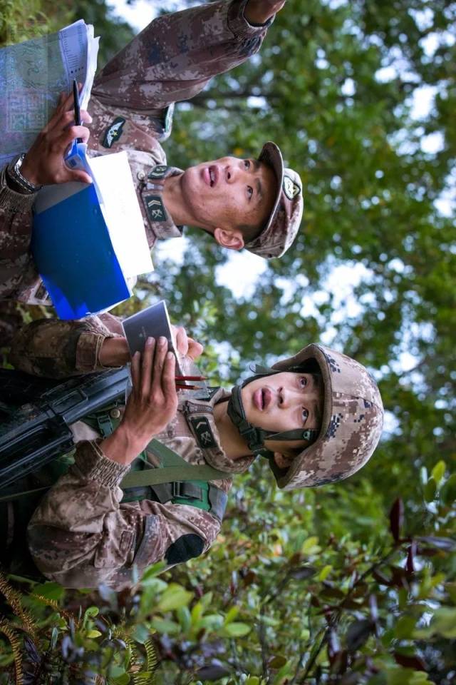 陆军侦察尖兵决战,岭南密林上演秘密狙杀
