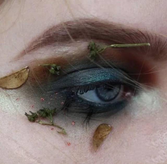 眉毛上仿佛不经意的粘上了一片枯萎的已经卷曲起来的树叶,整体的颜色