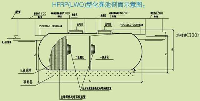 养猪场化粪池怎么建图片