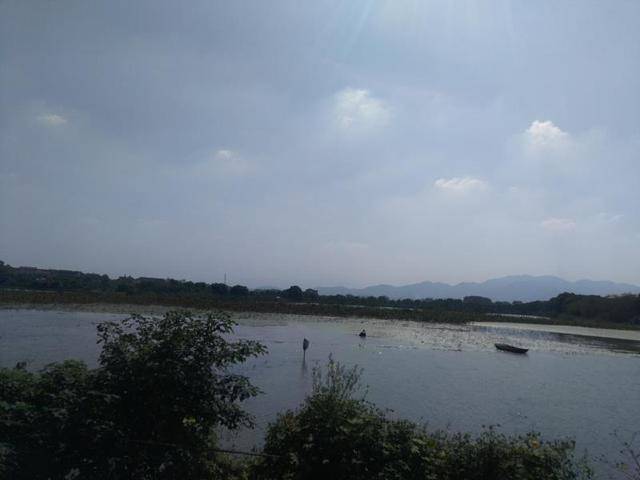 红色义乌丨义亭镇白塔塘村:打造独具特色的旅游胜地