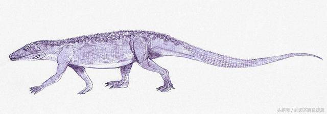 36种史前鳄鱼图片