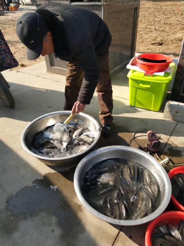 我来到集上的时候已经十一点多了,一下公交车就是集市,而这个卖鱼的就