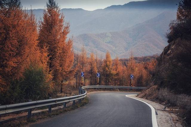 《道路主题摄影大赛》人气奖投票开始啦!老司机,你喜欢什么路?