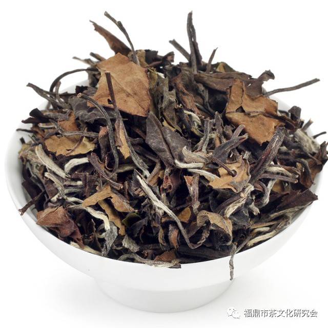 福鼎白茶价格