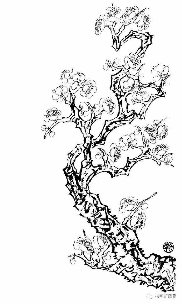 梅花树素描画图片
