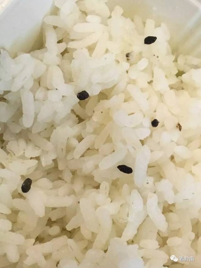 【百姓发布台】百度外卖叫来的白米饭上有耗子屎?好恶心!_手机搜狐网