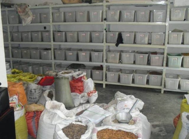 种子越冬贮藏的十大禁忌,你知道几条