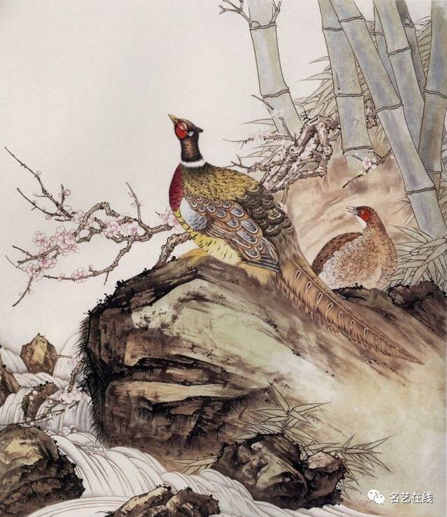 国画技法:工笔雉鸡,锦鸡的画法
