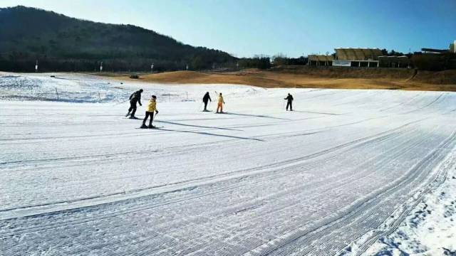 即墨天泰滑雪场图片