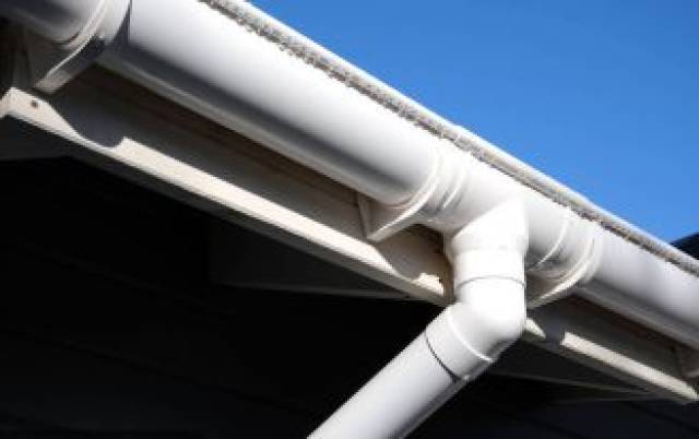 这么美落水你一定没有留意过..._手机搜狐网